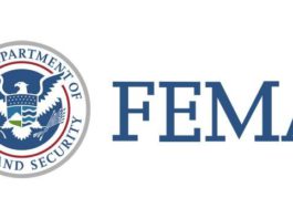 FEMA logo