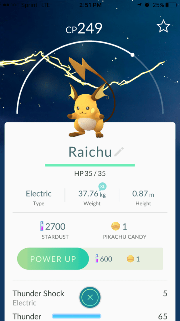 What is Pokemon Go Raichu