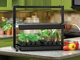 indoor garden tips
