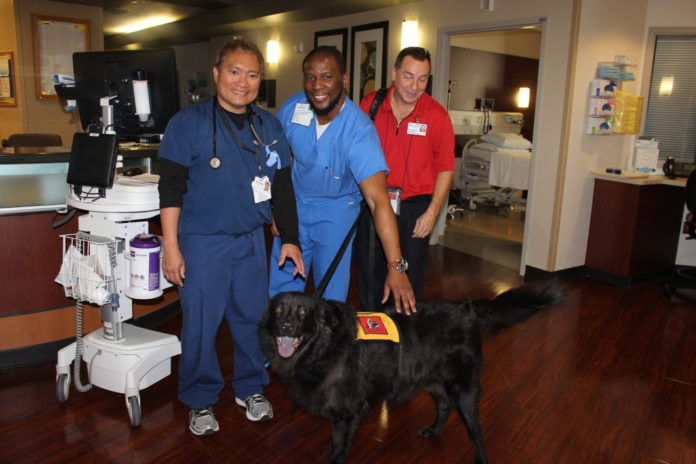 Methodist Mansfield Hosts Pet Therapy Workshop