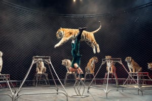 Ringling Bros. Bringing the XTREME! to Dallas/Fort Worth