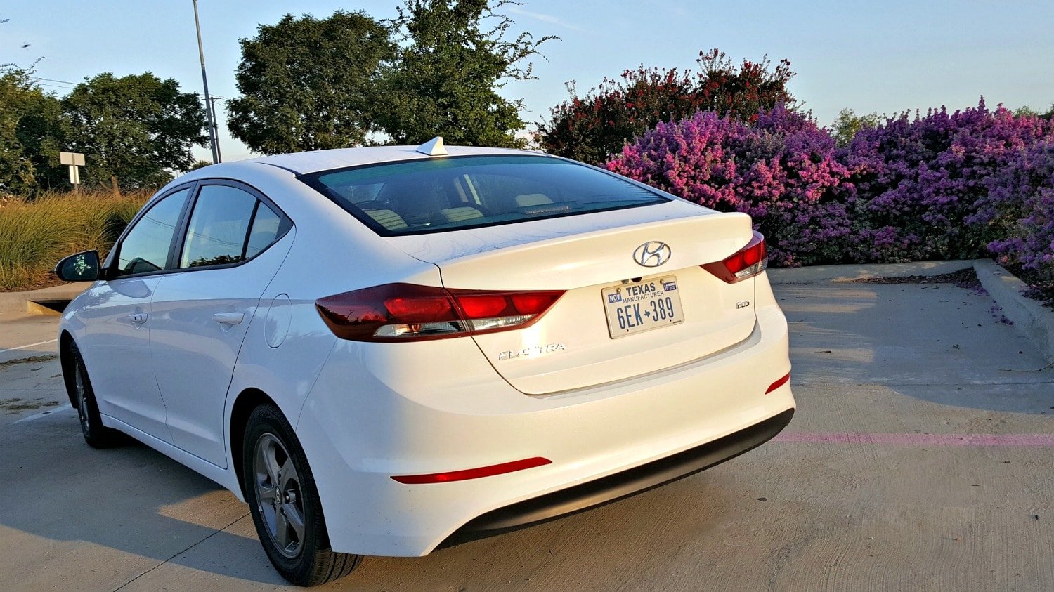 2017 Hyundai Elantra Rear View