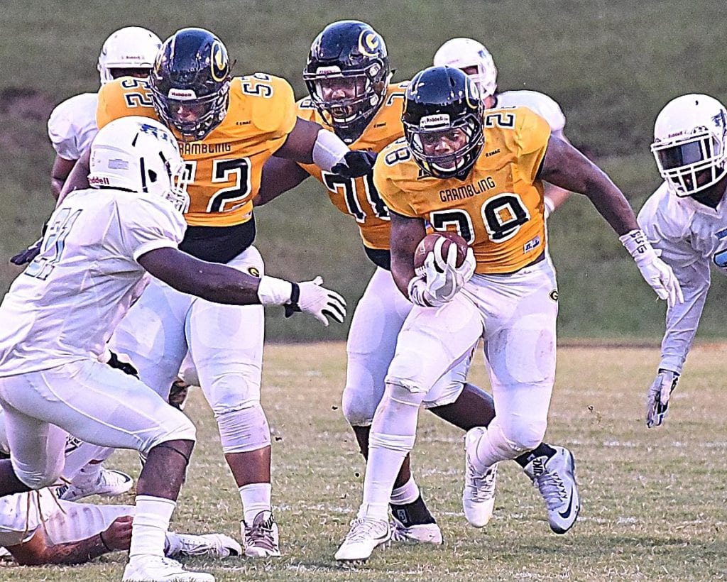 Running Back Jestin Kelly amassed over 700 rushing yards during the 2015 season.