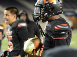 Lancaster Tigers Playoffs