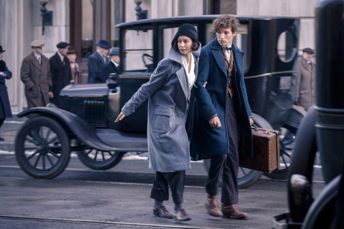 Fantastic Beasts and where to find them review