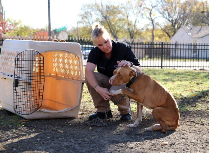 SPCA of Texas