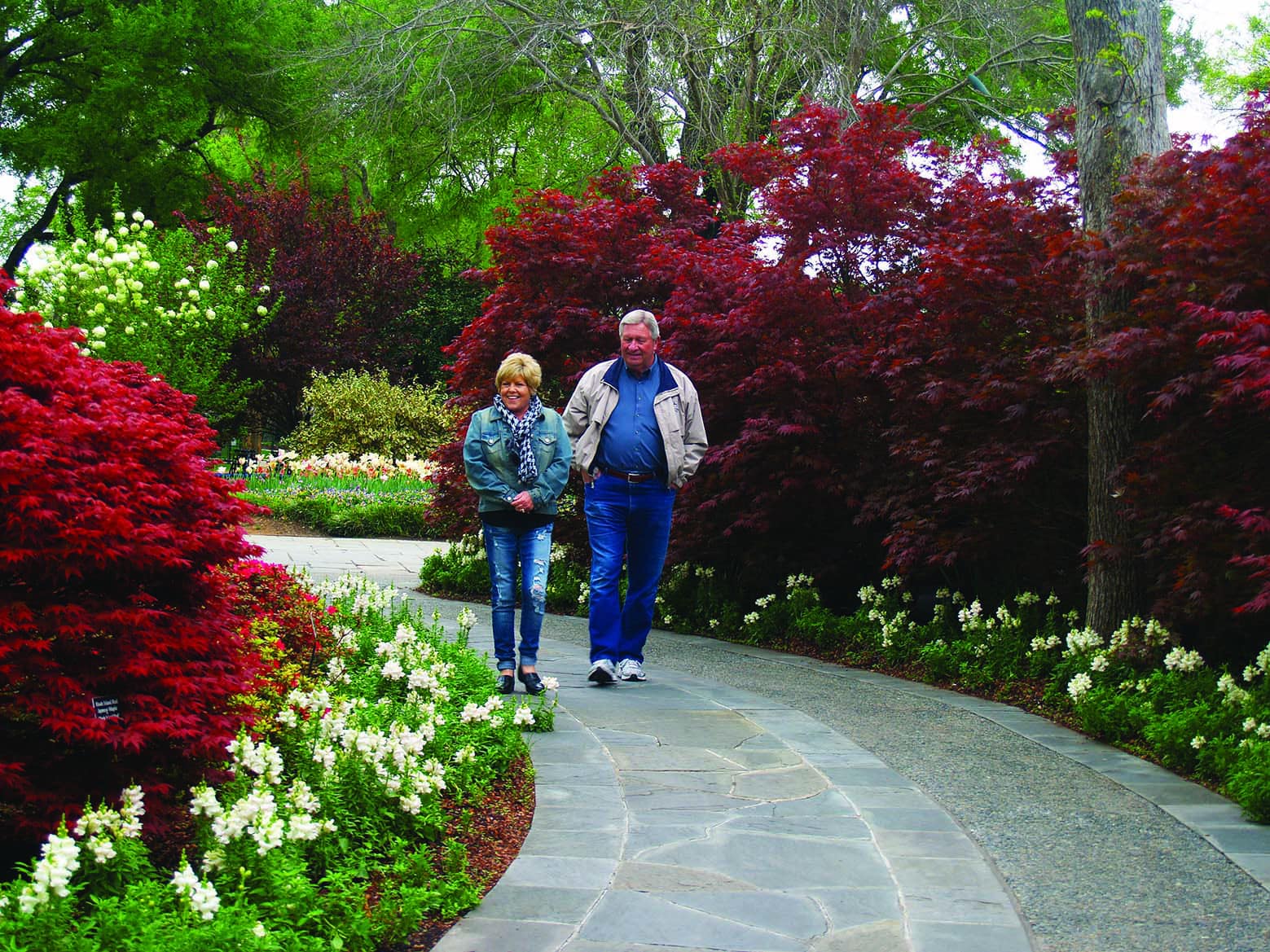 get your groove on at dallas arboretum and botanical gardens - focus