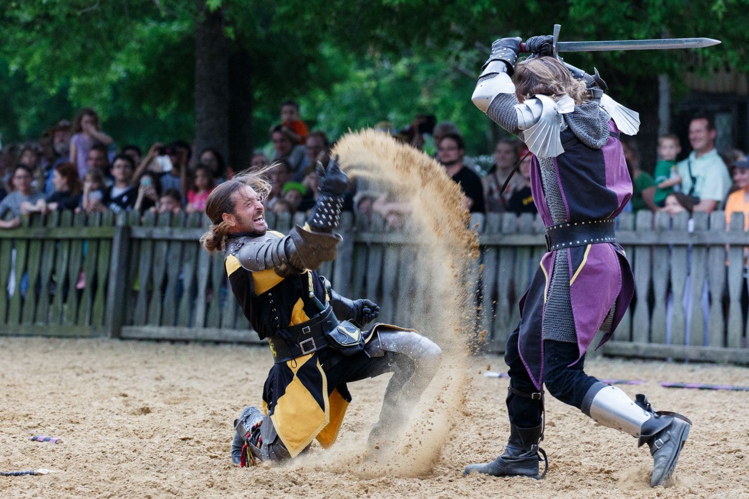 Scarborough Renaissance Festival 37th Season Begins Saturday! Focus
