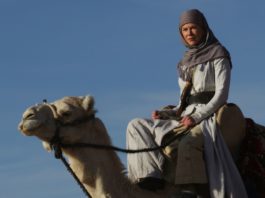 Queen of the desert