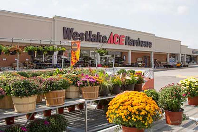 ace Business Incubator