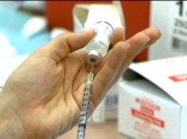 dallas county flu deaths