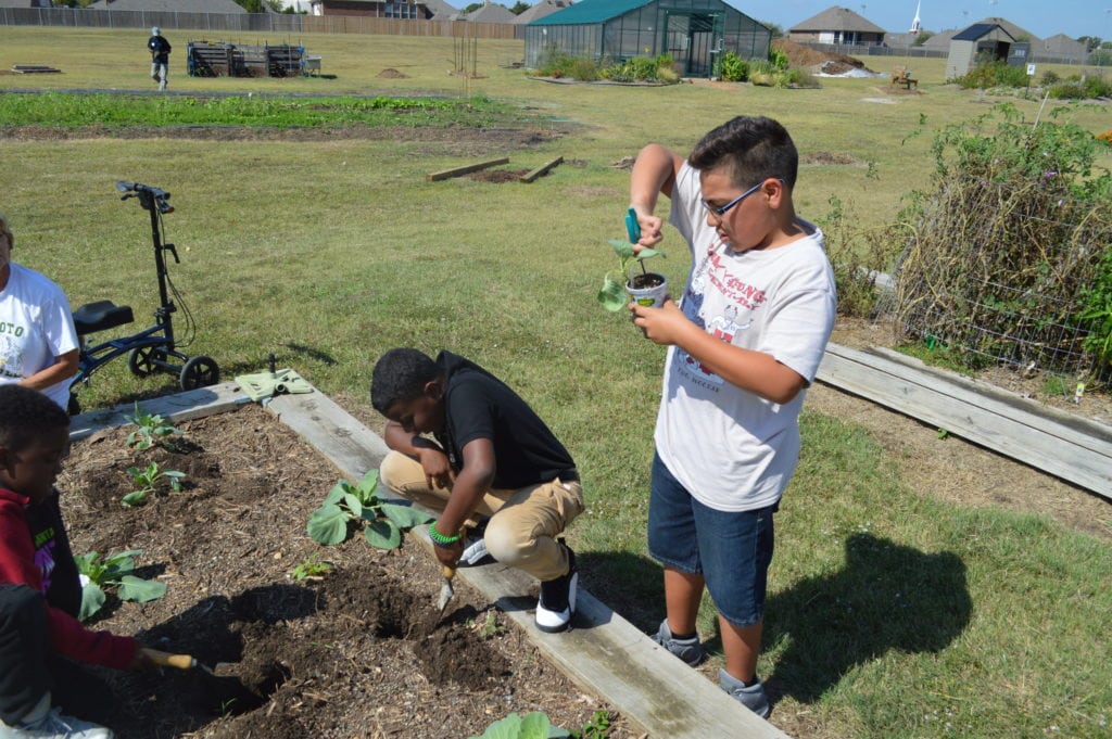 DeSoto ISD Teacher Job Fair June 9 Focus Daily News