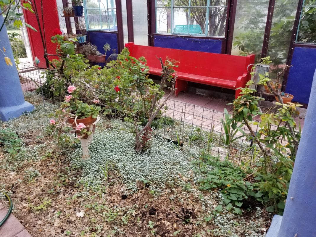 Exploring Eve's Garden B&B In Marathon Focus Daily News