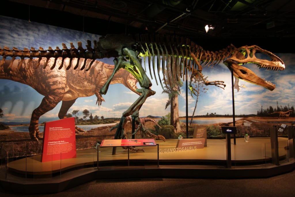 dinosaur exhibition australian museum