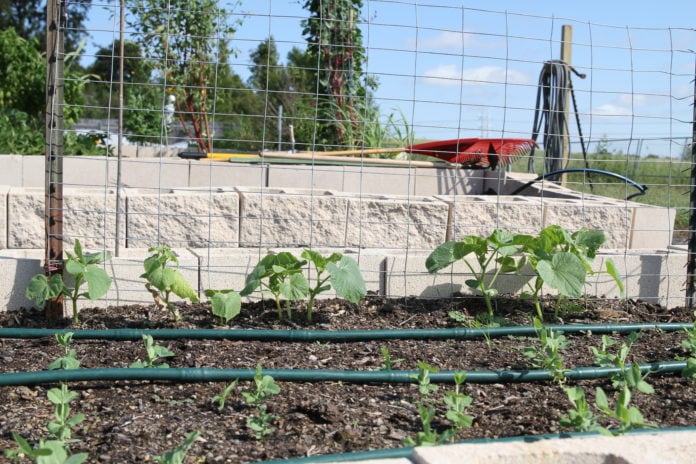 grand prairie community garden