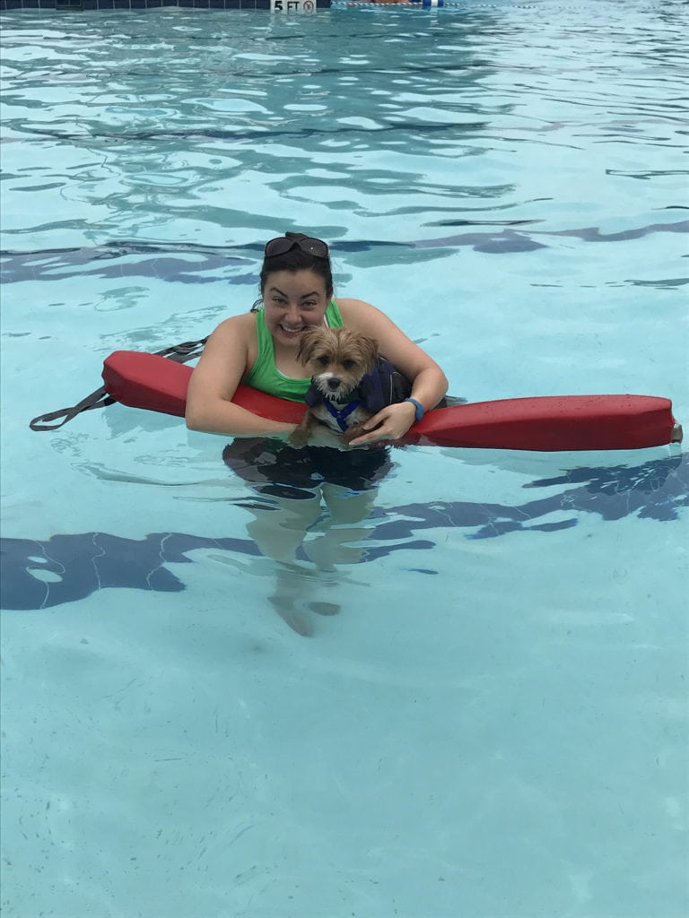 Paws in the Pool