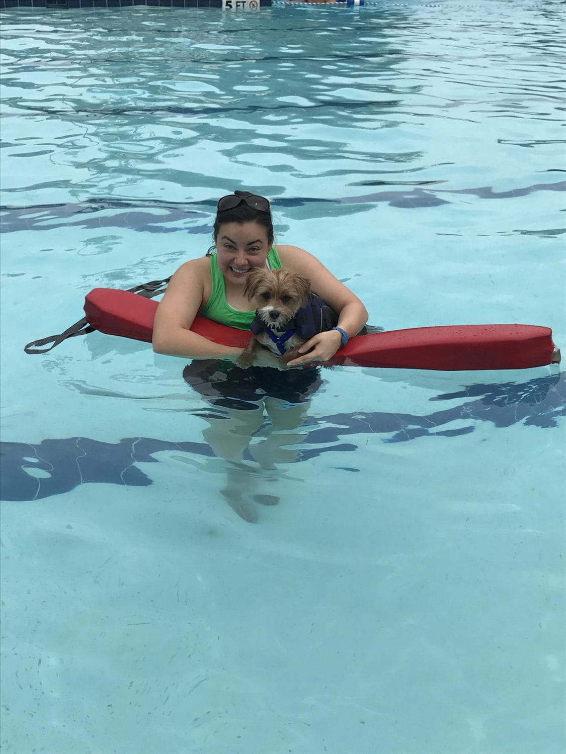 pawsinthepool
