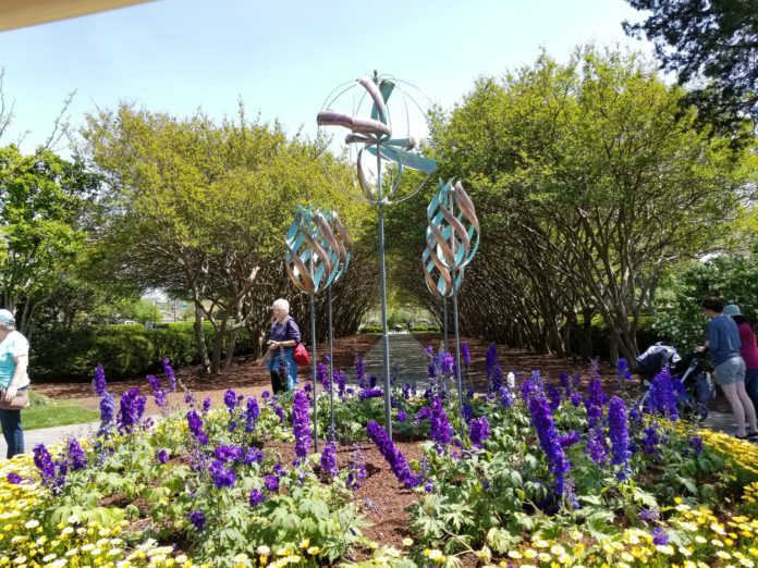 Dallas Arboretum Summer activities