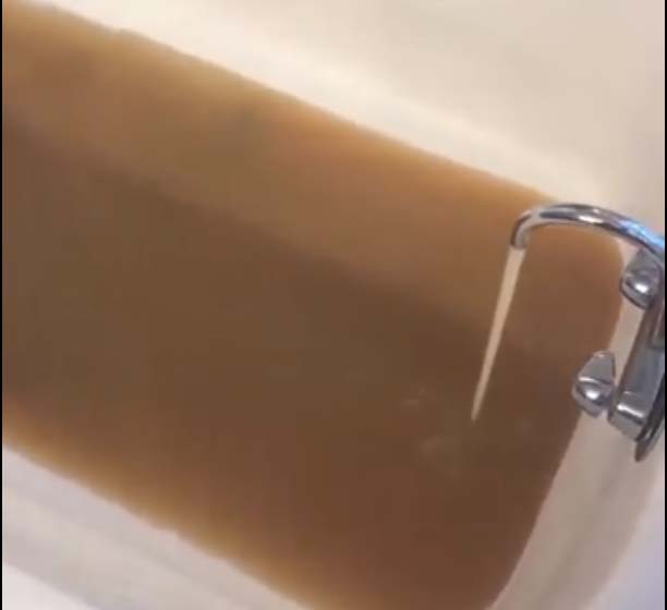 carroll water carroll water