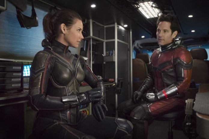 ant man and the wasp