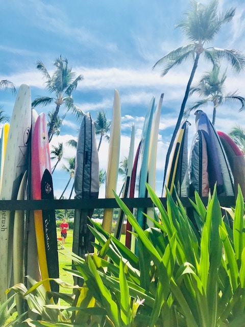 Surfboards in Kona, HAwaii