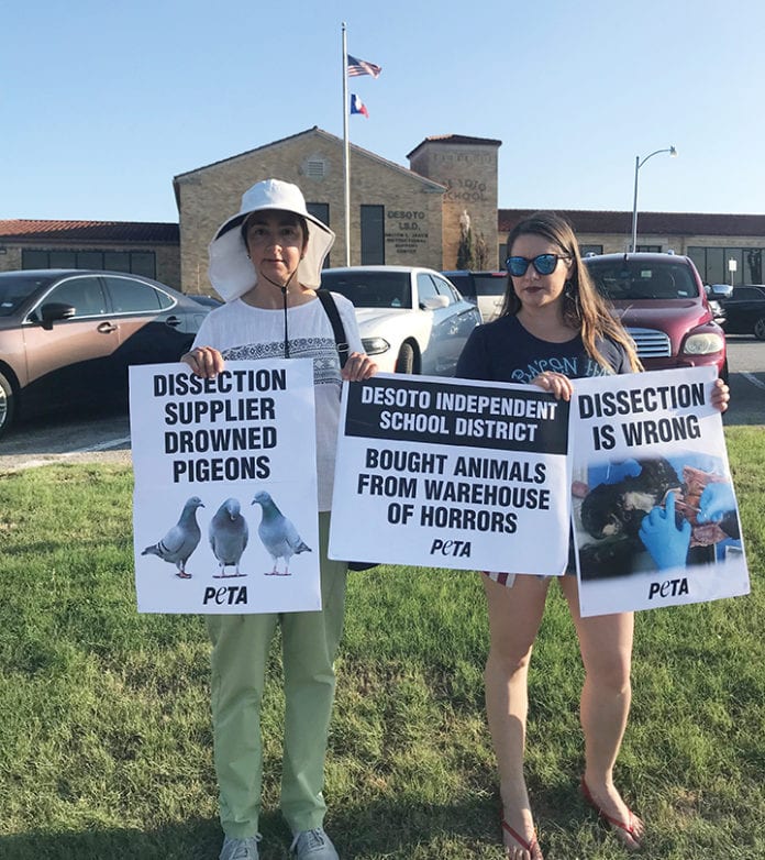 PETA protests animal dissection