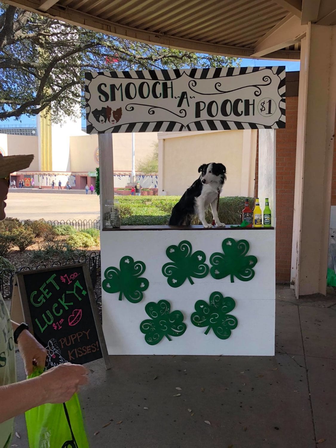 North Texas Irish Festival