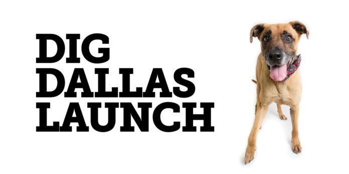 Dig Dallas Launch