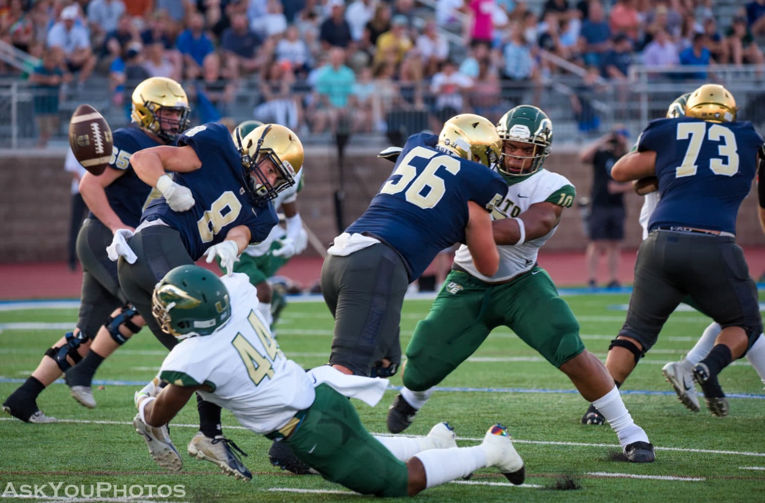 DeSoto Eagles football photo