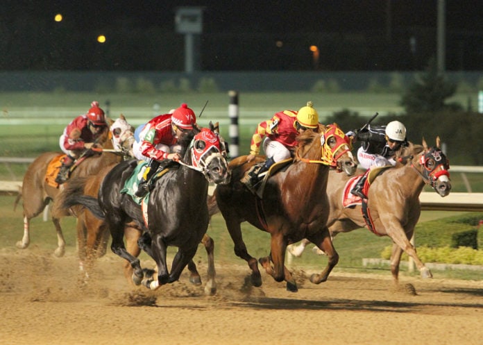 Lone Star Park 2019 Quarter Horse Season