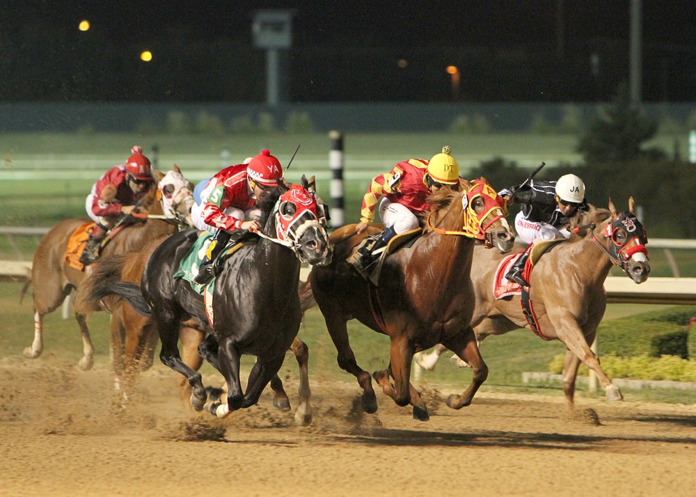 Lone Star Park's 2019 Quarter Horse Season Focus Daily News