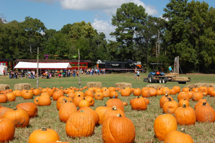 Texas State Railroad Pumpkin Patch