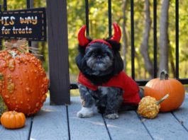 By the Horns Halloween