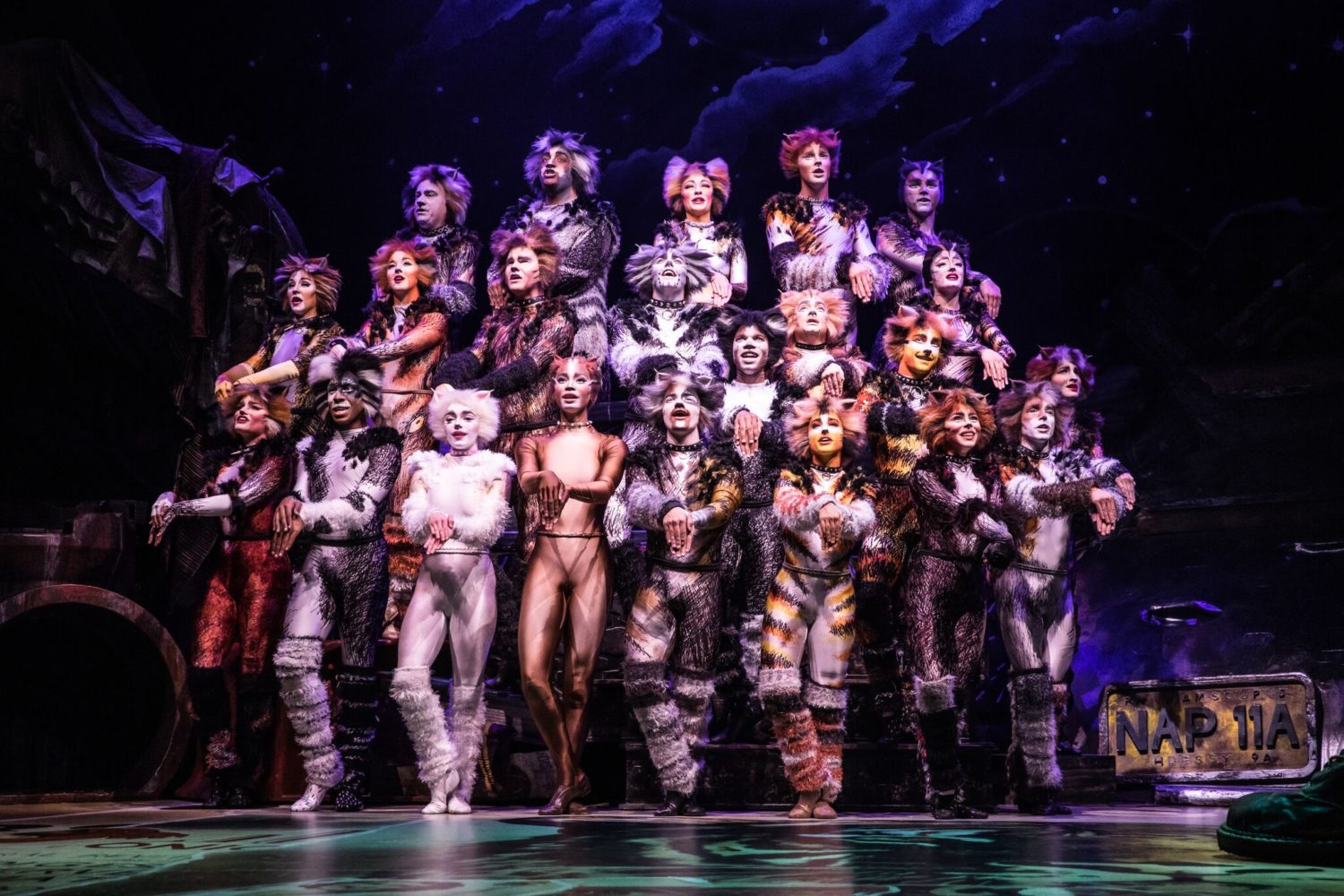 Image result for Cats broadway Dallas