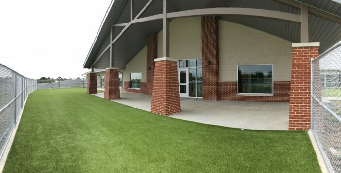 Court Yard Prarie Paws Prairie Paws