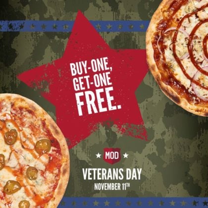 Veterans day service quotes
