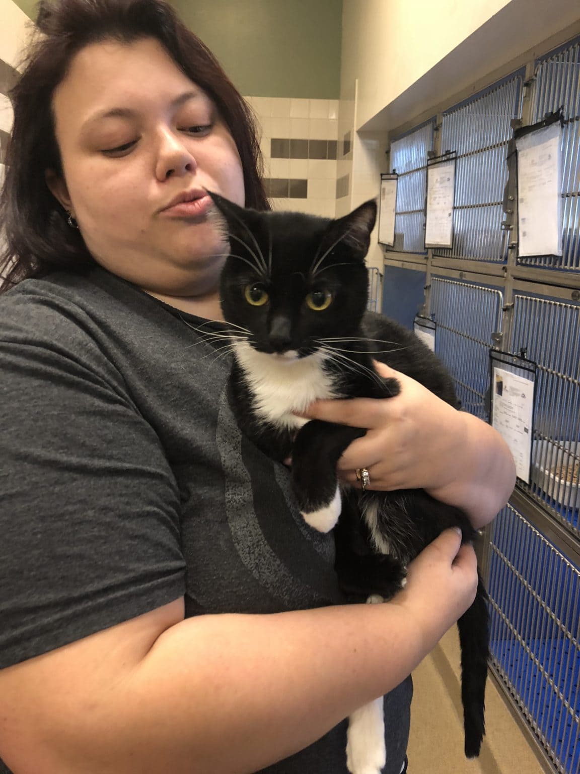 TriCity Animal Shelter Cedar Hill Provides Second Chances