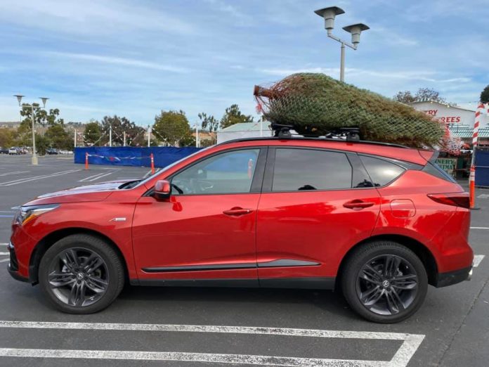 transport your christmas tree