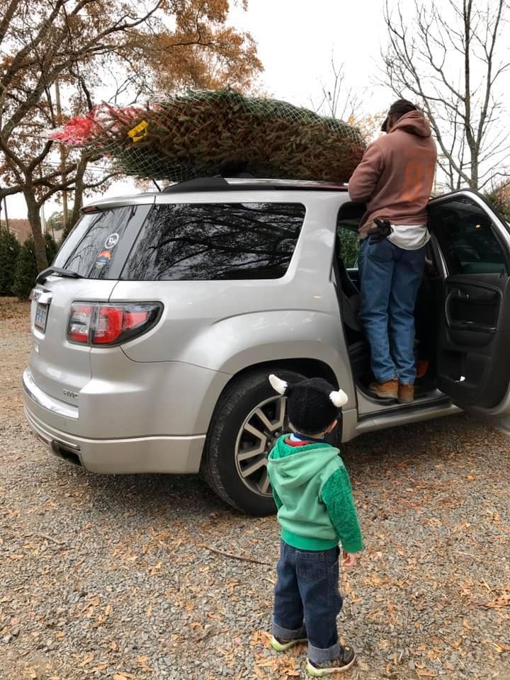 Christmas Tree on Rack