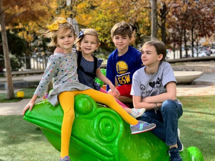Perot Museum Kids Perot Museum Frogs