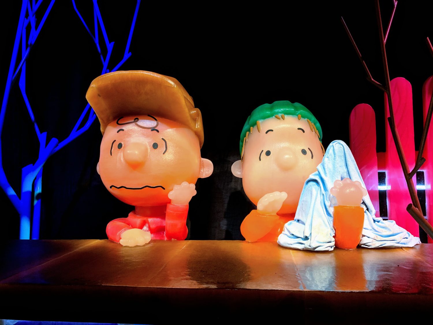 Charlie Brown with Linus