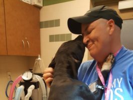 Friends of tr-city animal shelter
