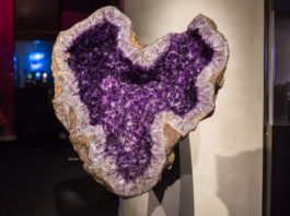 Perot Museum Romancing The Stone
