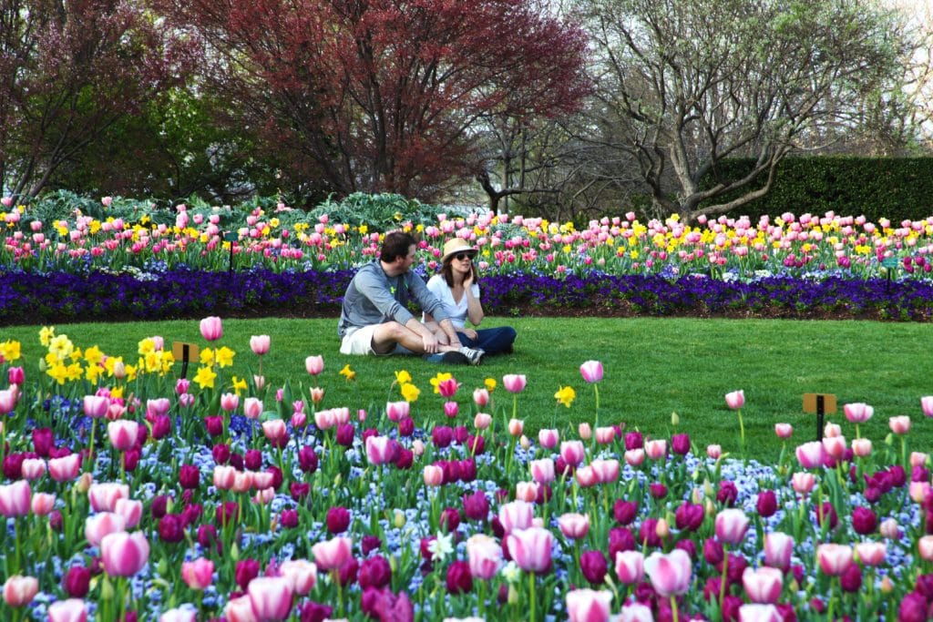 Marjorie and Trevor Hylton Co-chairing 2020 Dallas Blooms