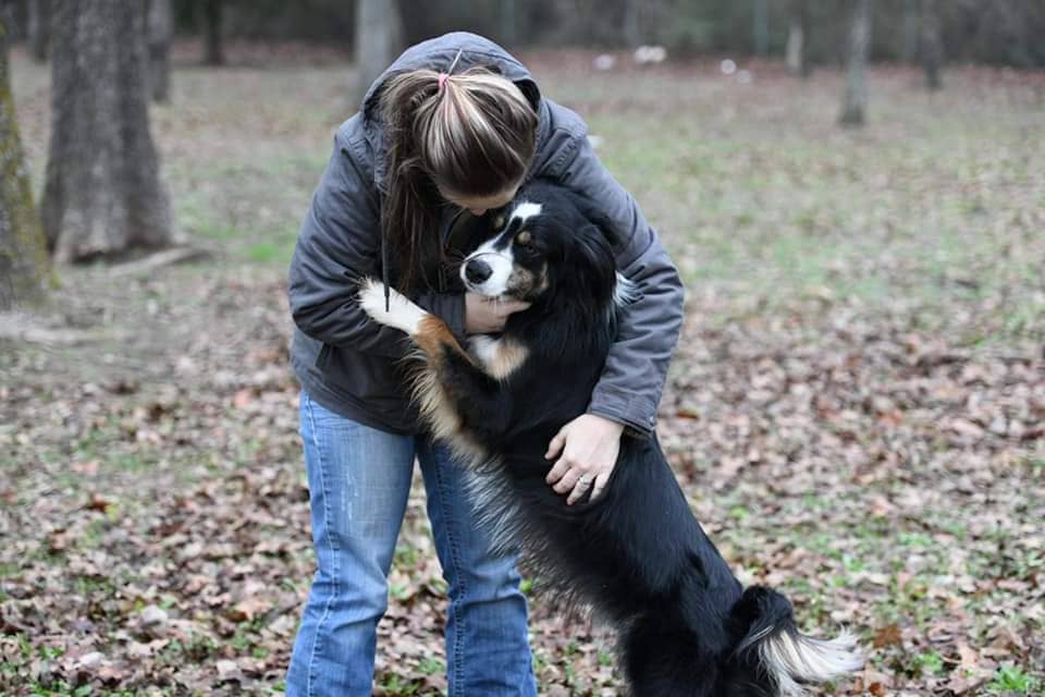 Visit Border Collie Rescue at North Texas Irish Festival