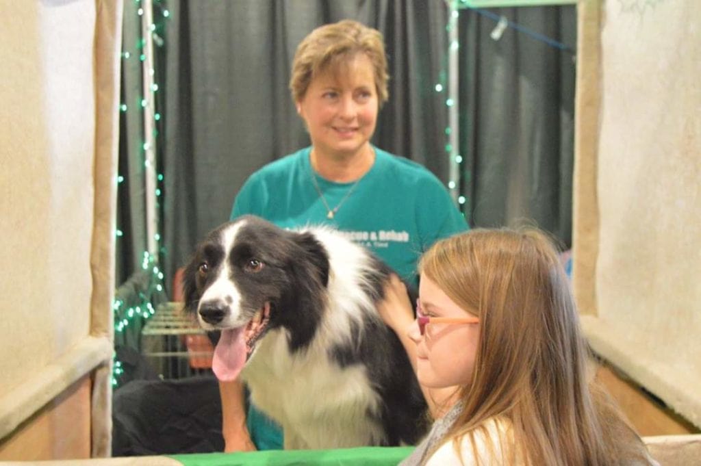 Visit Border Collie Rescue at NTIF