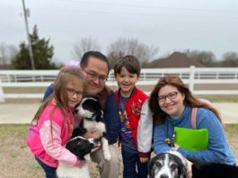 Visit Border Collie Rescue at Ntif