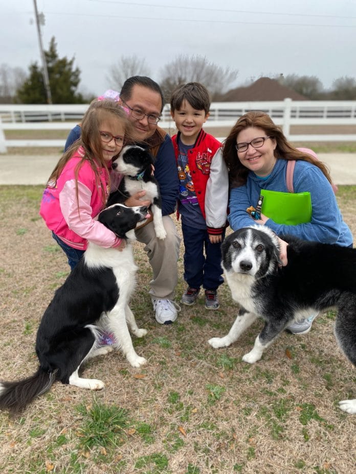 Visit Border Collie Rescue at Ntif