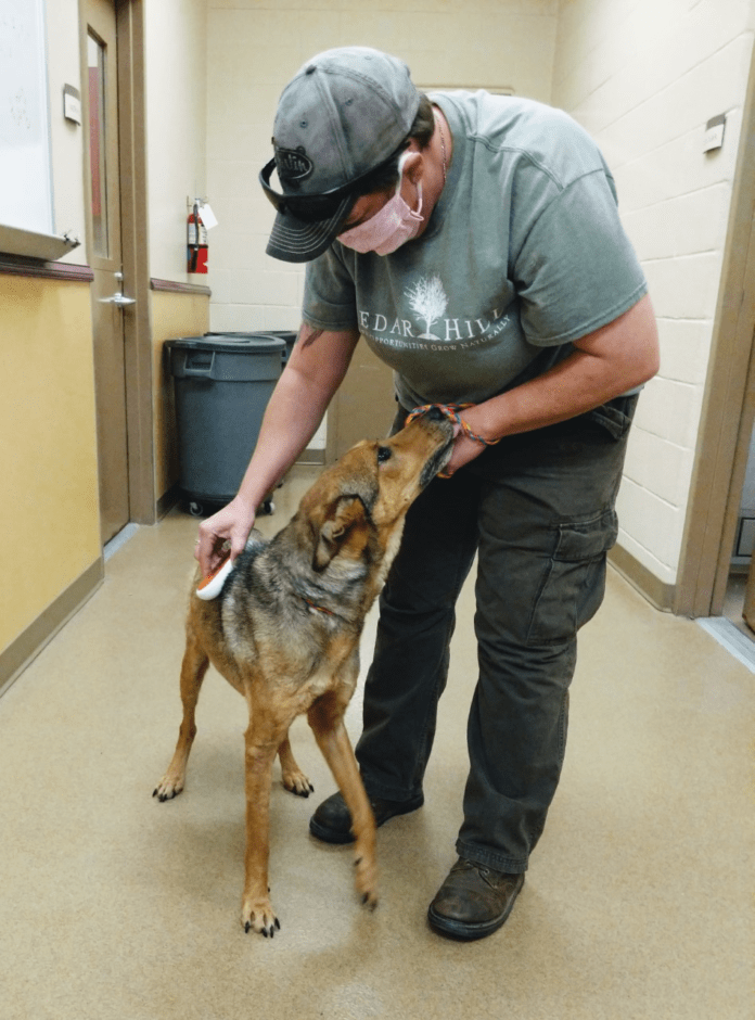 animal shelter Cedar Hill Tri-City Animal Shelter