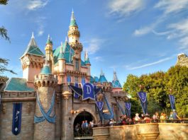 disneyland castle